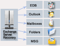 Forensic MS Backup BKF Recovery Software